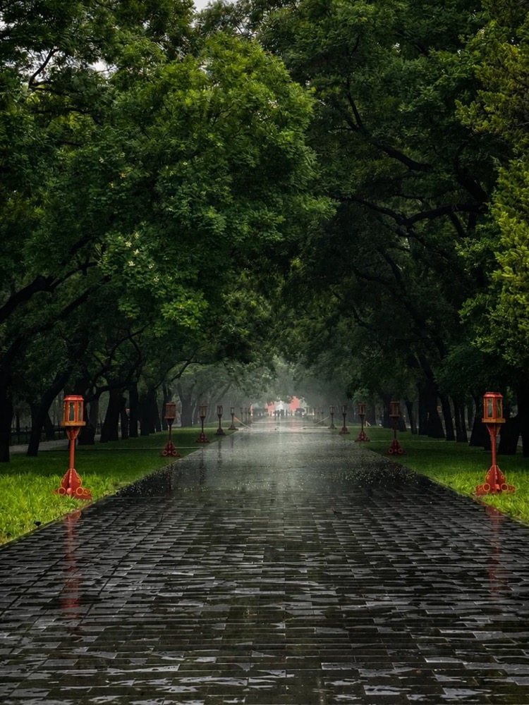 A rain-darkened imperial park avenue beneath dense green trees in Beijing