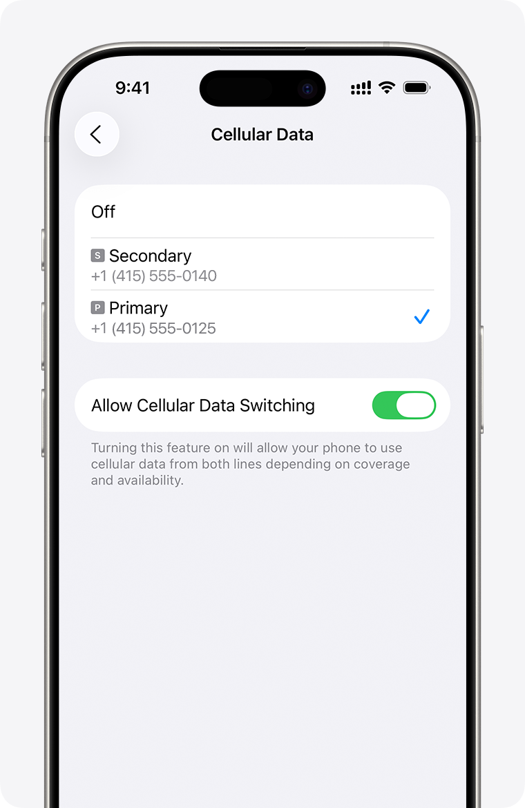 iPhone Cellular Data settings showing two SIM lines and the cellular data switching option