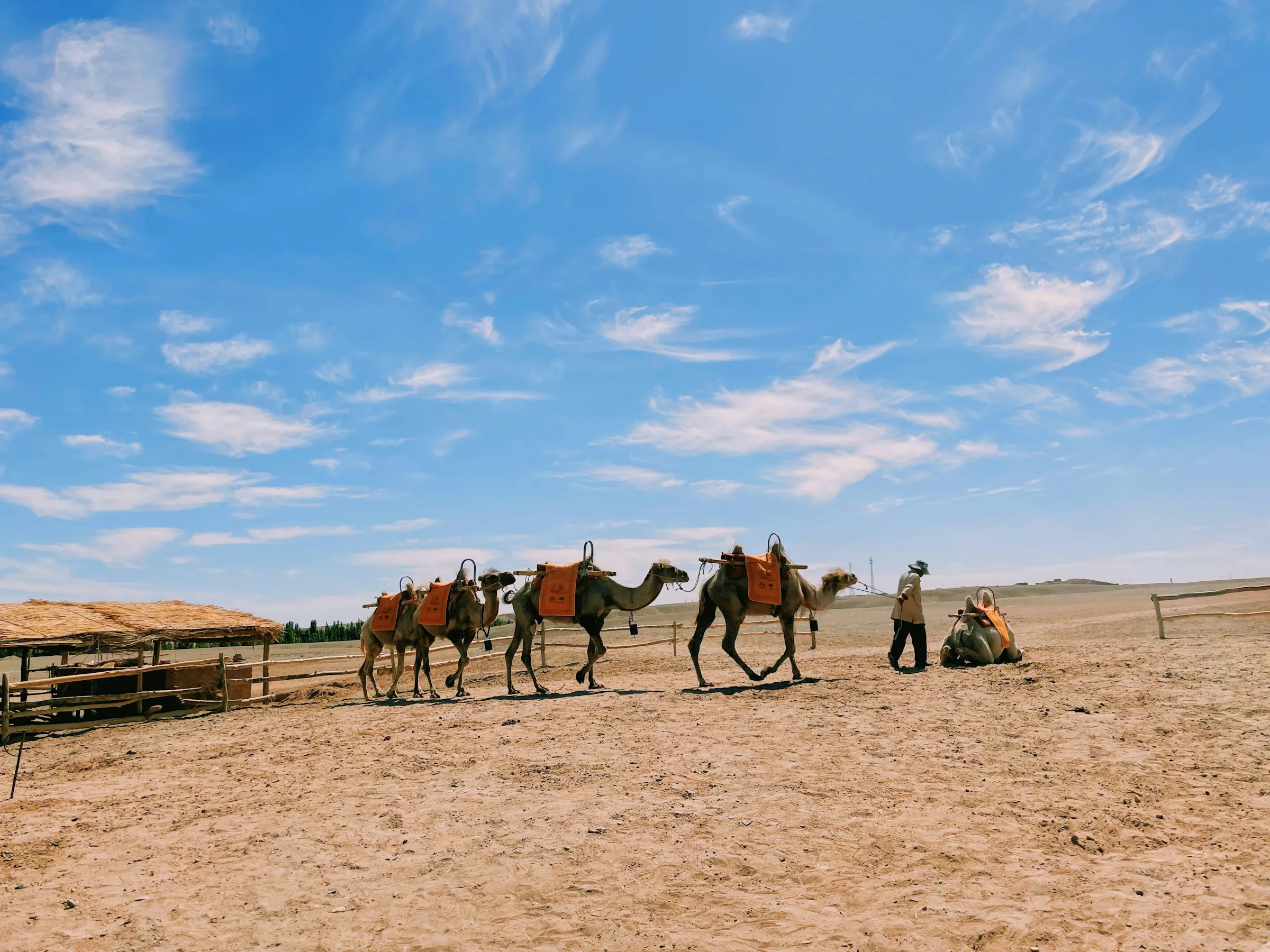 Travelers riding a line of camels across the sandy slopes at Mingsha Mountain in Dunhuang