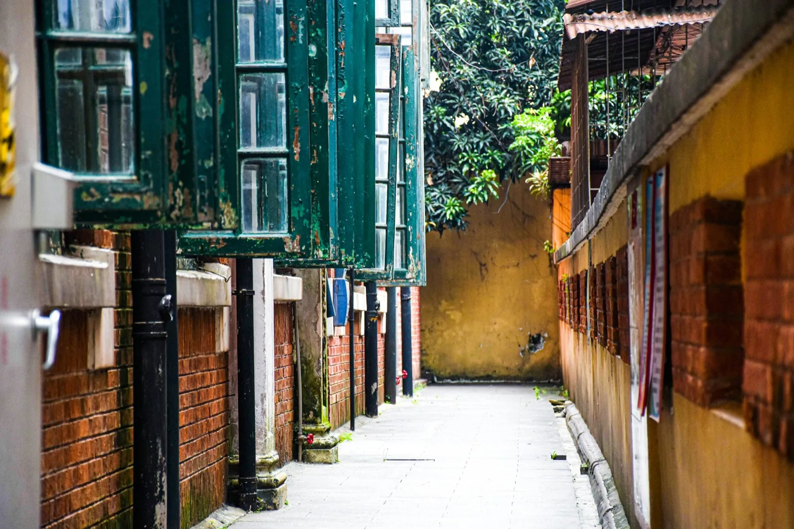 A quiet lane on Shamian Island with green shutters, brick walls and mature trees