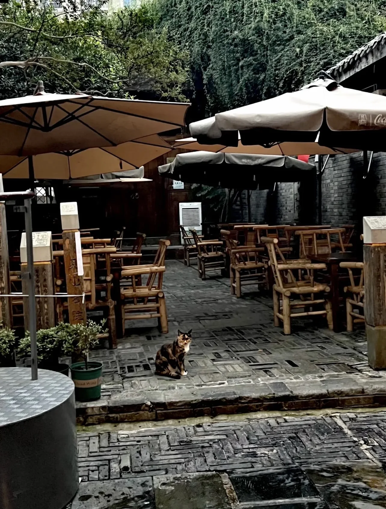 A quiet Kuanzhai Alley courtyard teahouse with bamboo chairs, umbrellas and a cat on the stone paving