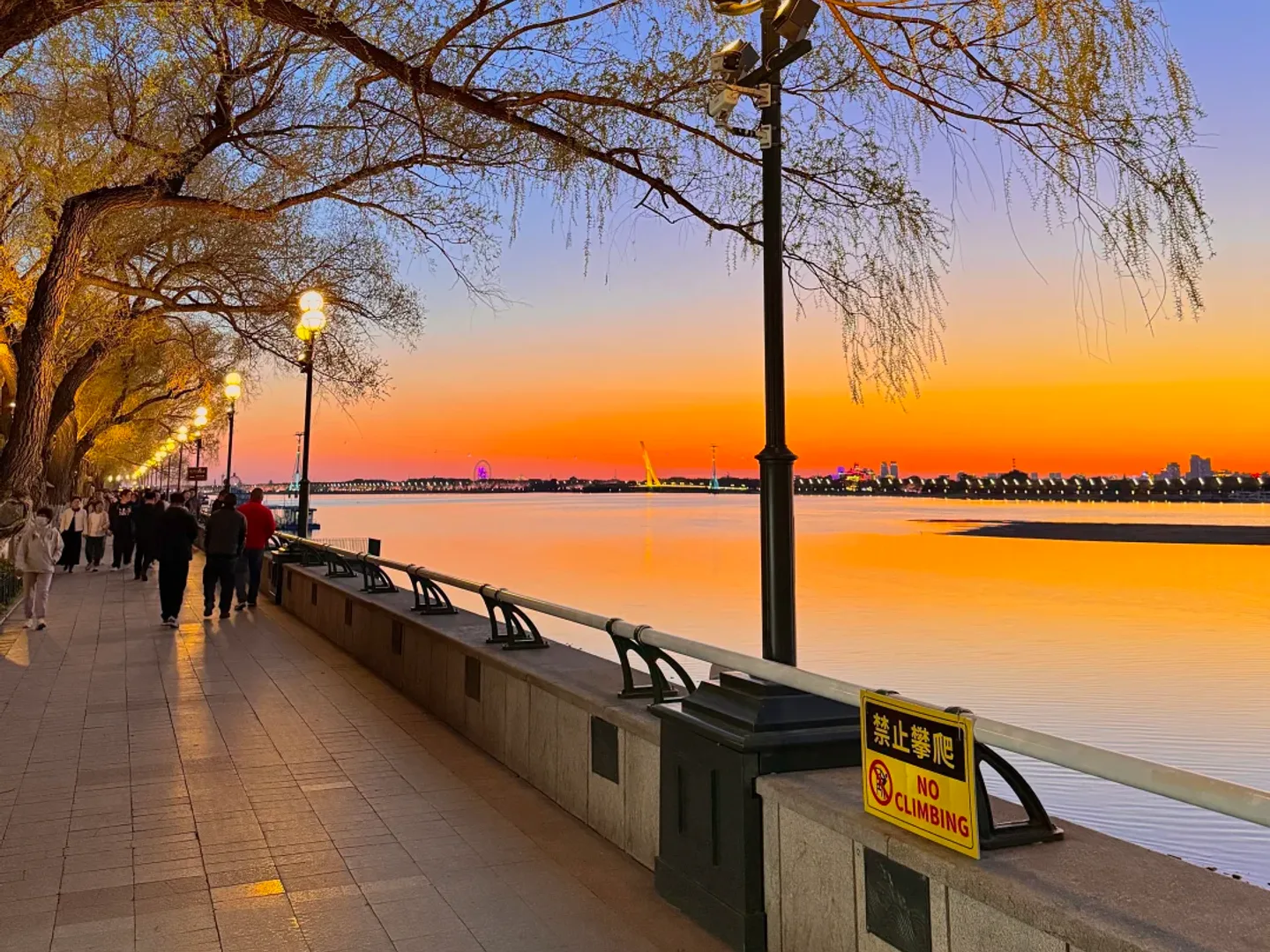 Tree-lined Songhua River promenade at sunset in Harbin