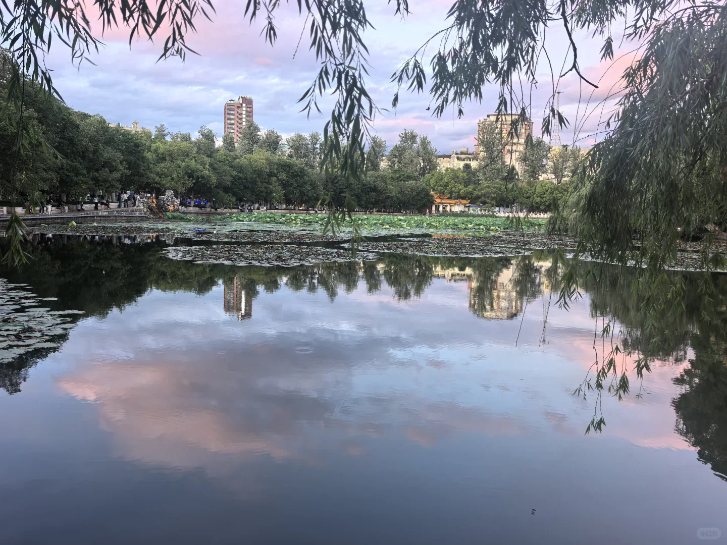 Green Lake in central Kunming at dusk with willow trees reflected in the water