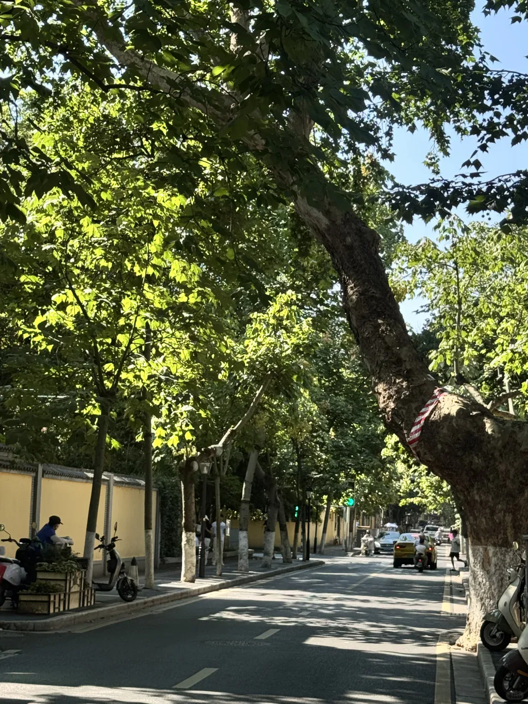 A quiet tree-lined street among historic houses in the Yihe Road area of Nanjing