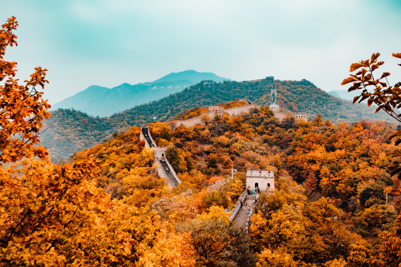 紅葉に包まれた山々を縫って続く万里の長城——秋の中国
