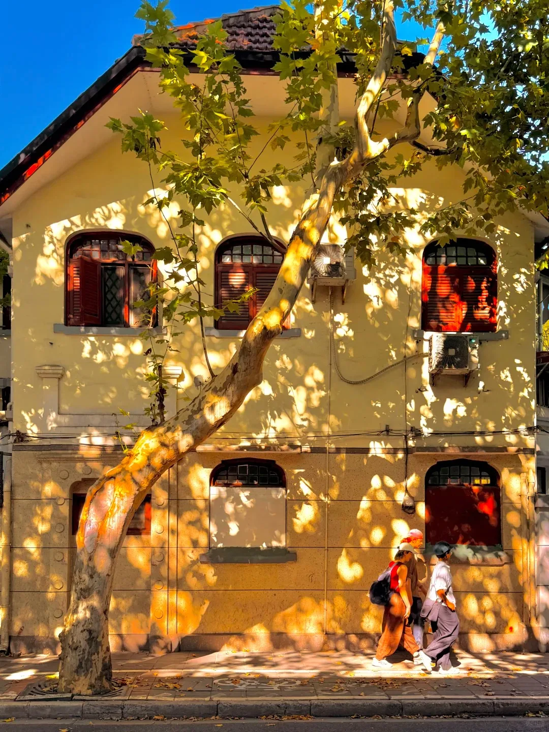 プラタナスの木陰に建つ上海・旧フランス租界の歴史的な住宅と歩行者