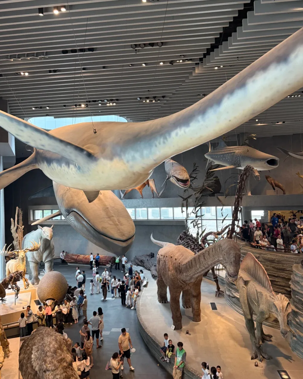 上海自然博物館の館内に展示されたクジラや恐竜など大型生物の標本