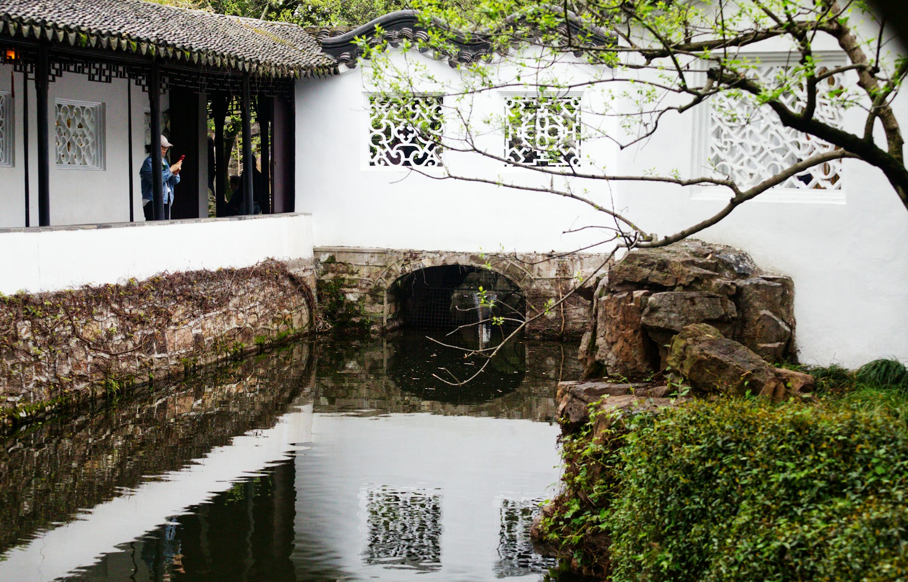 White garden walls, rockery, and water inside a classical Suzhou garden