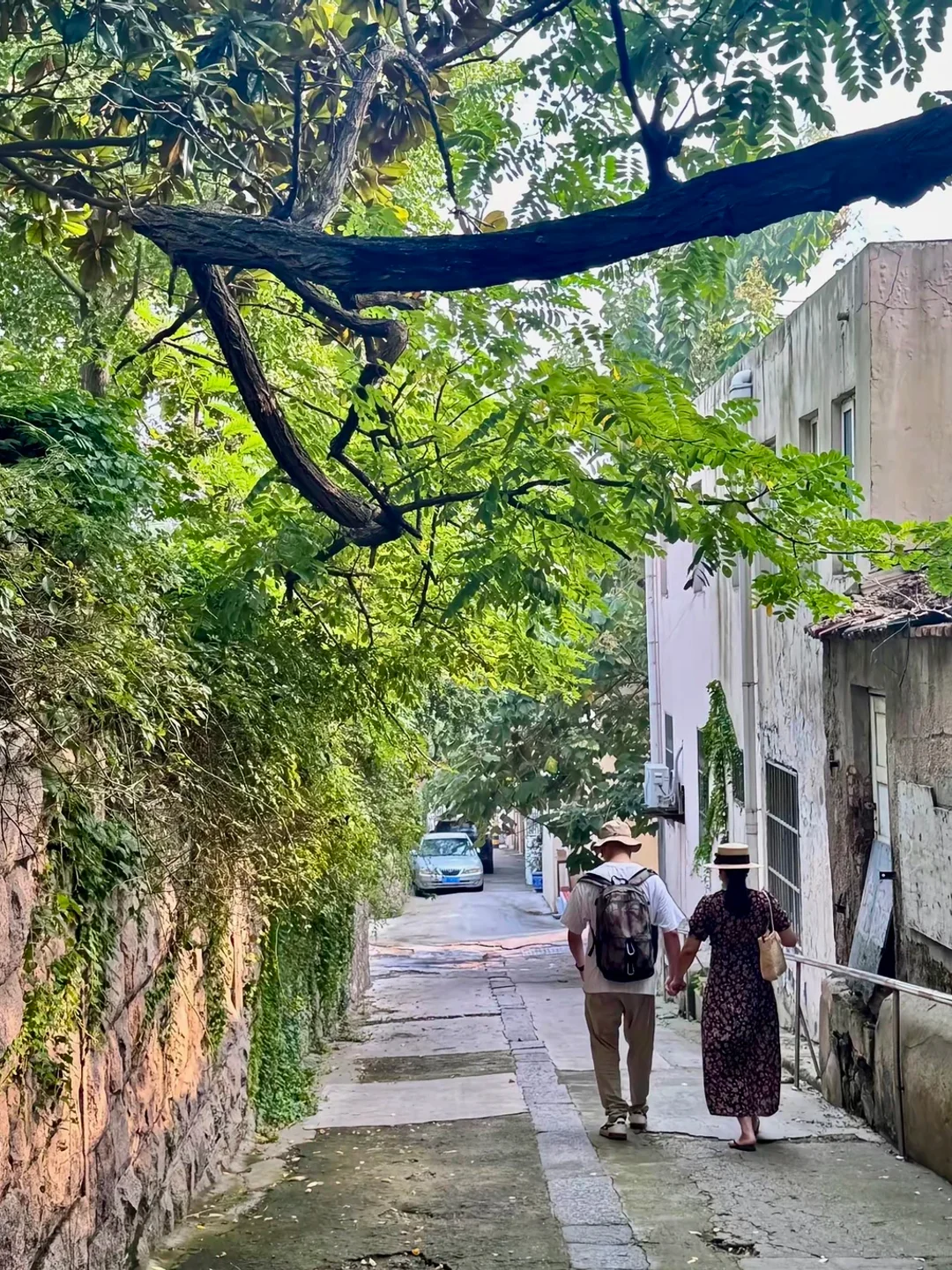 A leafy downhill lane between older houses in Qingdao