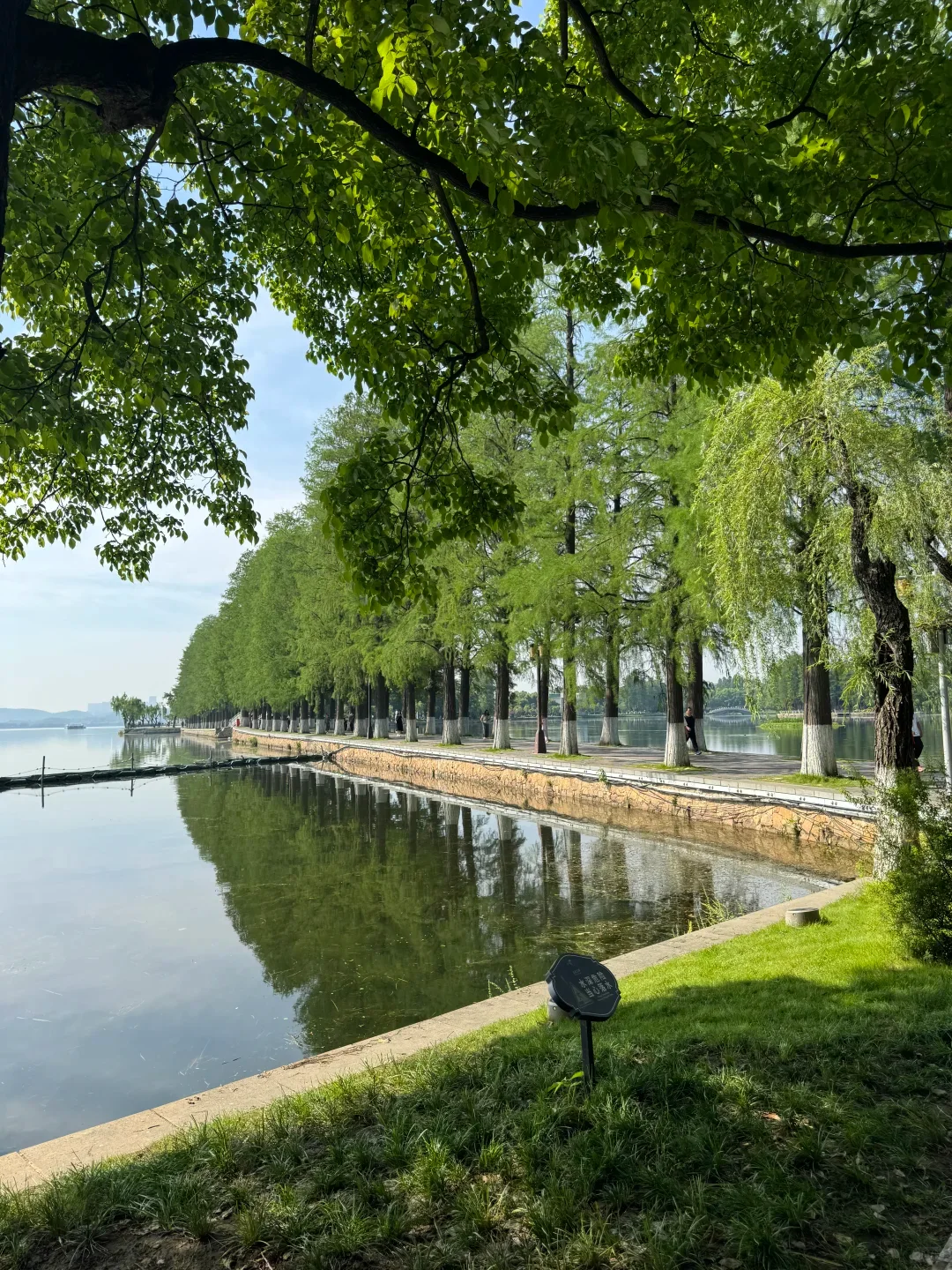 Tree-lined promenade beside calm water at East Lake in Wuhan