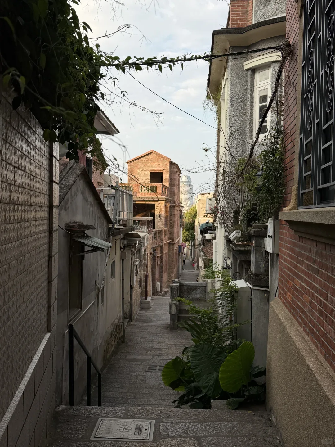 Quiet historic lane between old villas on Gulangyu Island